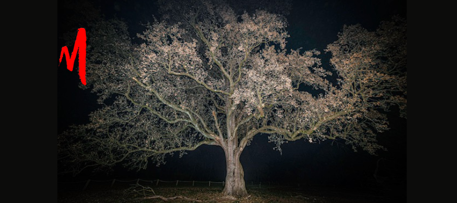 Fotografia di Dario Piovera