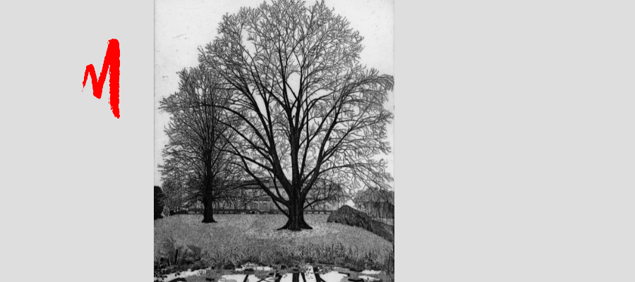 Federica Galli, Il giardino Reale a Monza, 1997